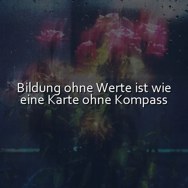 Ein dunkles, nebliges Fenster mit Regentropfen, dahinter unscharf rosa Blumen, Text: Bildung ohne Werte ist wie eine Karte ohne Kompass