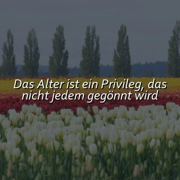 Ein Feld mit weißen und roten Tulpen, im Hintergrund eine Reihe von Bäumen und ein grauer Himmel. Das Zitat 'Das Alter ist ein Privileg, das nicht jedem gegönnt wird' ist über das Bild gelegt.