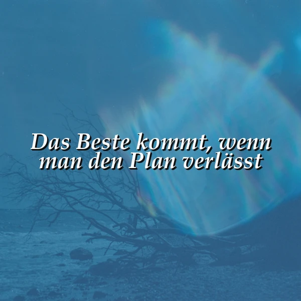 Dunkelblaues, mystisches Bild mit dem Zitat: 'Das Beste kommt, wenn man den Plan verlässt'. Kahle Äste im Wasser, schimmernde Lichtreflexe. Es vermittelt Mut zu ungeplanten Lebenswegen.