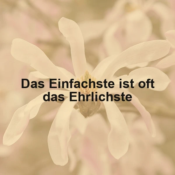 Das Einfachste ist oft das Ehrlichste: Dein Weg zu wahrer Authentizität