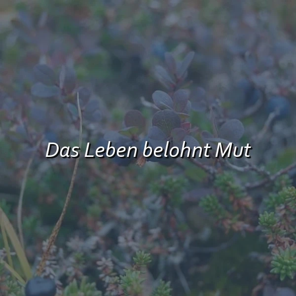 Das Leben belohnt Mut: Dein Antrieb für neue Wege und wahre Stärke