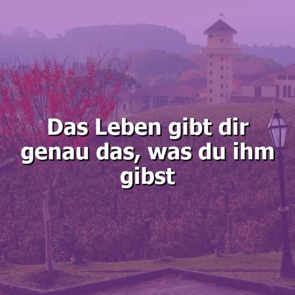 Das Leben spiegelt uns wider - Was gibst du ihm?