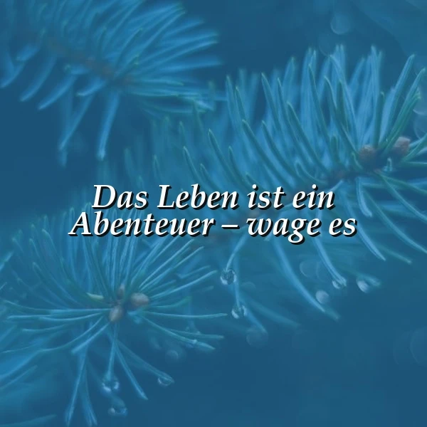 Das Leben ist ein Abenteuer - wage es! Inspirierende Worte