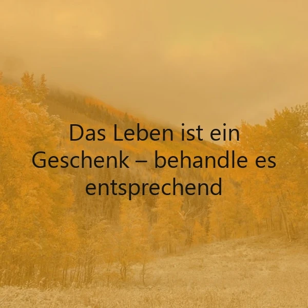 Das Leben als Geschenk: Wertschätze jeden Moment