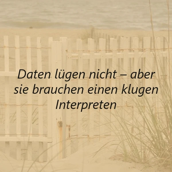 Ein Strand mit einer Holzzaun und Gras, im Hintergrund das Meer, ein Zitat über Daten und Interpretation