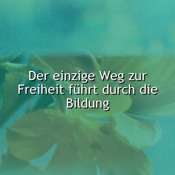 Der Weg zur wahren Freiheit