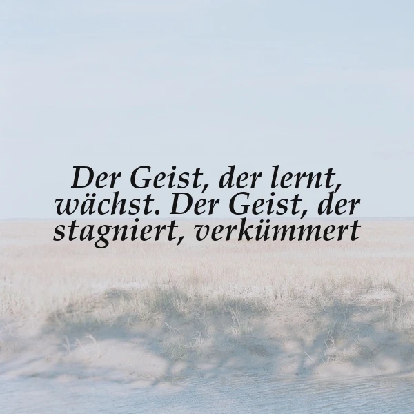 Wachstum im Geist: Wer lernt, blüht auf – wer stagniert, verkümmert still