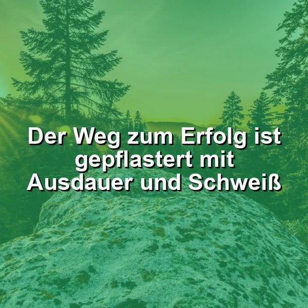 Erfolgspfade: Warum Ausdauer und Schweiß deine wahren Wegweiser sind