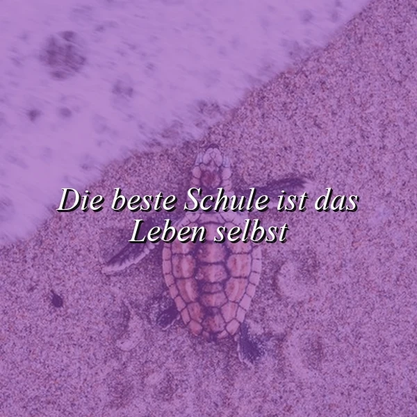 Die beste Schule ist das Leben selbst – Eine stille Weisheit für Herzenswärme