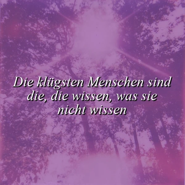 Die klügsten Menschen wissen, was sie nicht wissen