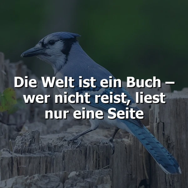 Die Welt ist ein Buch - Entdecke neue Seiten