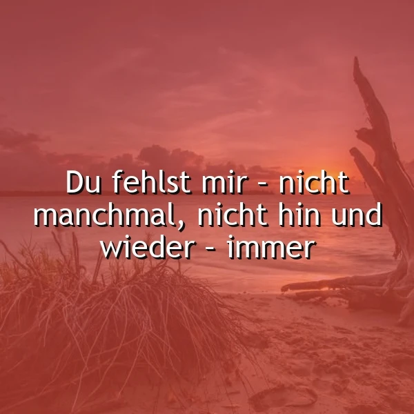 Sonnenuntergang am Meer in warmen Rottönen mit trockenem Gras am Ufer. Das zentrale Zitat lautet: 'Du fehlst mir – nicht manchmal, nicht hin und wieder – immer', das die tief empfundene und andauernde Sehnsucht visualisiert.