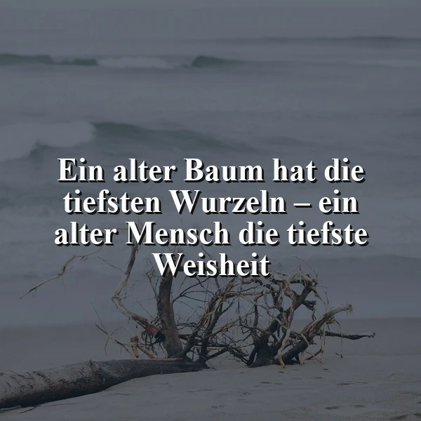 Ein alter Baum hat die tiefsten Wurzeln – ein alter Mensch die tiefste Weisheit