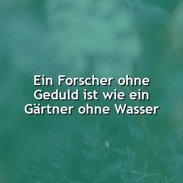 Geduld ist der Schlüssel zum Erfolg
