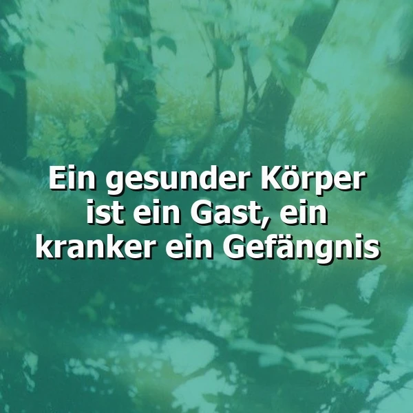 Gesundheit ist Freiheit: Ein kranker Körper ist ein Gefängnis