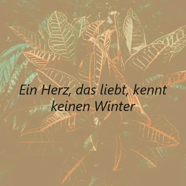 Ewige Wärme der Liebe: Ein Herz, das liebt, kennt keinen Winter