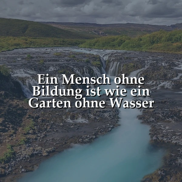 Bildung als Lebenselixier: Ein Mensch ohne Bildung – eine Weisheit zum Nachdenken