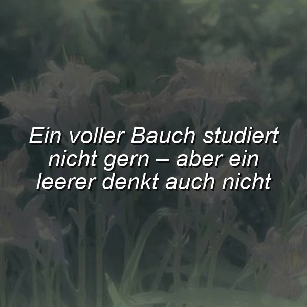 Weisheit zum Schmunzeln: Bauch voll, Kopf leer? Finde dein Gleichgewicht!