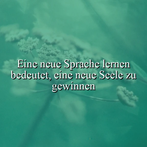 Eine neue Seele durch Sprache gewinnen