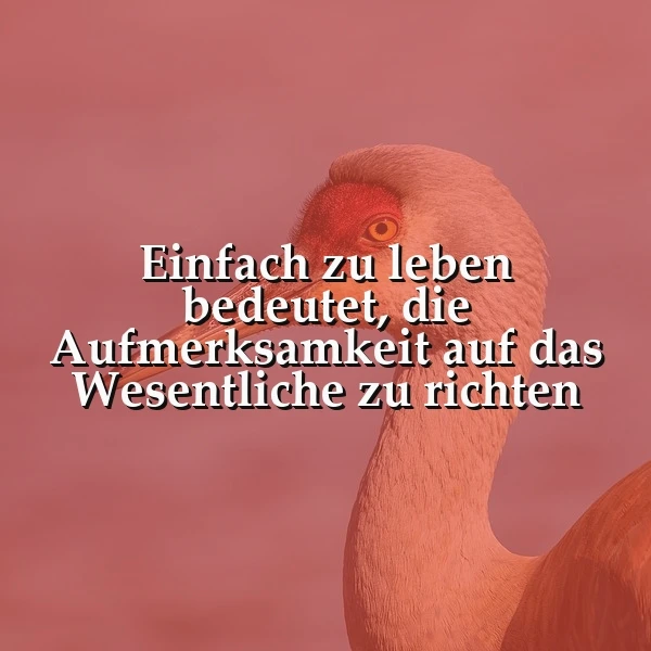 Ein rosa Flamingo mit einem roten Kopf und einem gelben Auge, im Hintergrund ein rosa Himmel. Das Bild zeigt ein Zitat über die Bedeutung von Einfachheit.