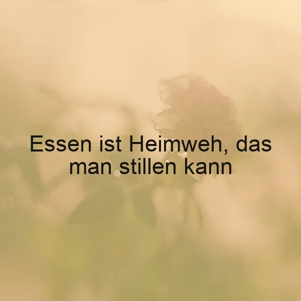 Essen ist Heimweh, das man stillen kann – Zitat über Trost und Heimatgefühl