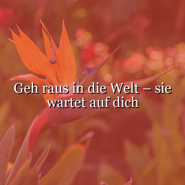 Ein Foto einer orangefarbenen Blüte mit grünen Blättern vor einem unscharfen, farbenfrohen Hintergrund. Das Bild ist in warmen Tönen gehalten und strahlt eine positive, aufmunternde Stimmung aus.