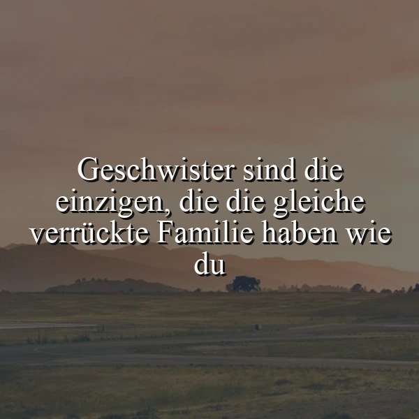 Ein ruhiger Sonnenuntergang über sanften Hügeln bildet den Hintergrund für den Text: "Geschwister sind die einzigen, die die gleiche verrückte Familie haben wie du". Das Bild strahlt eine warme, nostalgische Stimmung aus, die die einzigartige Verbindung unter Geschwistern hervorhebt.