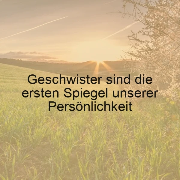 Geschwister - unsere ersten Spiegel