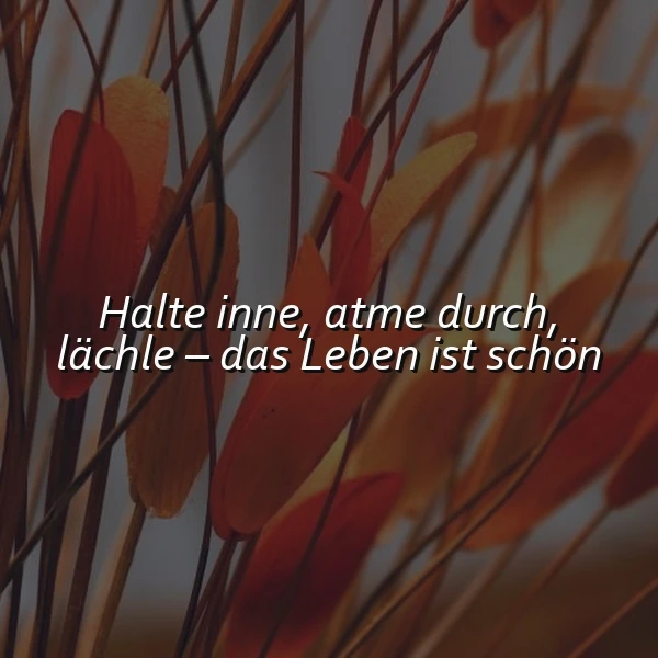 Halte inne, atme durch: Das Leben ist schön! Ein Lächeln für dich