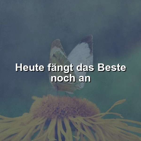 Heute fängt das Beste noch an: Eine sanfte Erinnerung an den Neubeginn