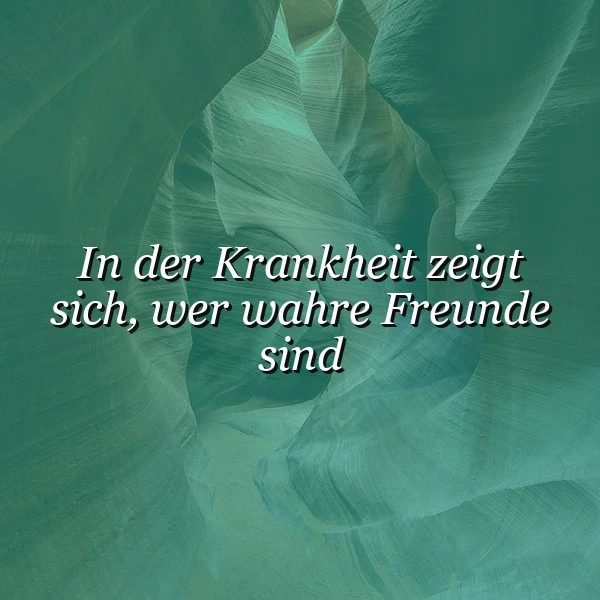 In der Krankheit zeigt sich, wer wahre Freunde sind – Eine tiefe Weisheit