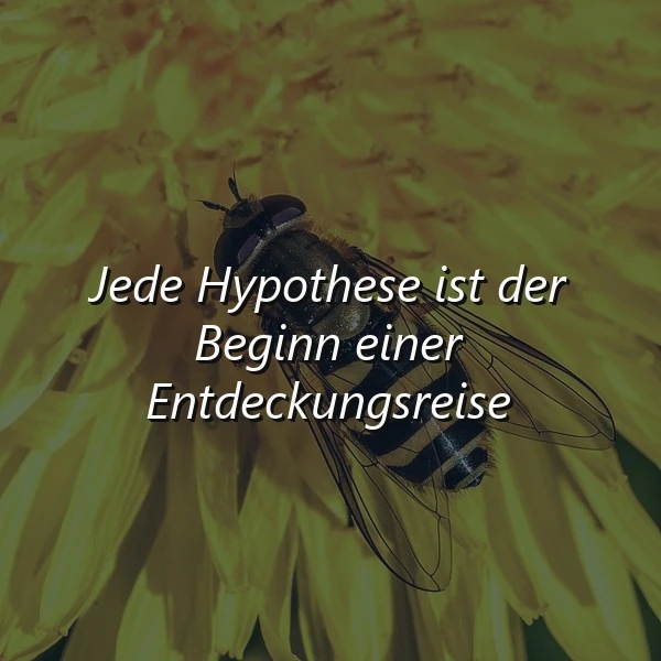 Jede Hypothese - Der Anfang einer neuen Entdeckungsreise