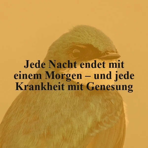 Jede Nacht endet mit einem neuen Morgen - Hoffnung und Genesung