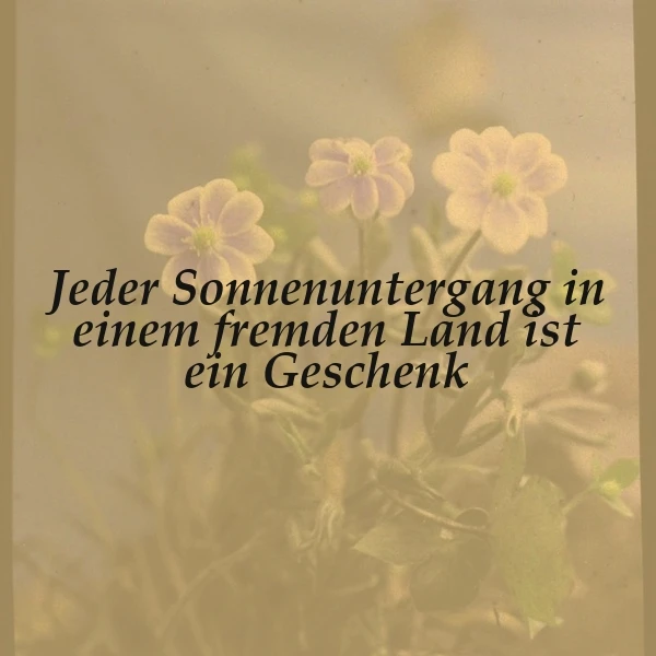 Ein Geschenk am Horizont: Sonnenuntergänge in fremden Ländern