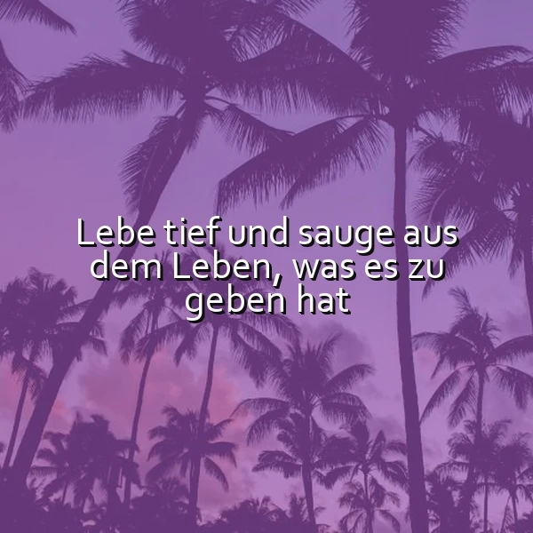 Tief leben und das Beste auskosten: Dein inspirierender Spruch für ein erfülltes Leben