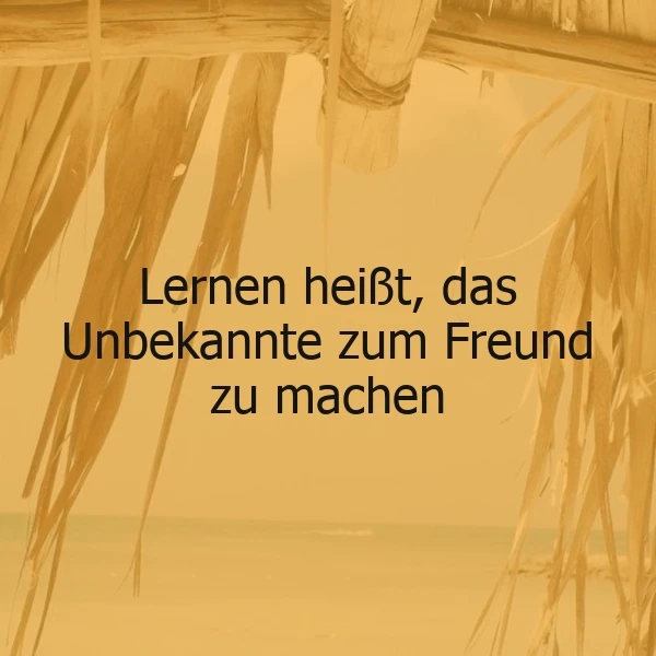 Lernen als Freundschaftsspiel - Das Unbekannte meistern