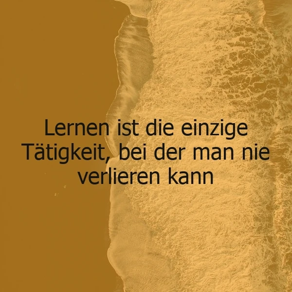 Lernen ist die einzige Tätigkeit, bei der man nie verlieren kann - Weisheit