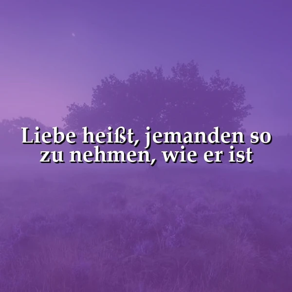 Ein ruhiger, violetter Landschaftsbild mit Bäumen und Gras, im Vordergrund das Zitat 'Liebe heißt, jemanden so zu nehmen, wie er ist'