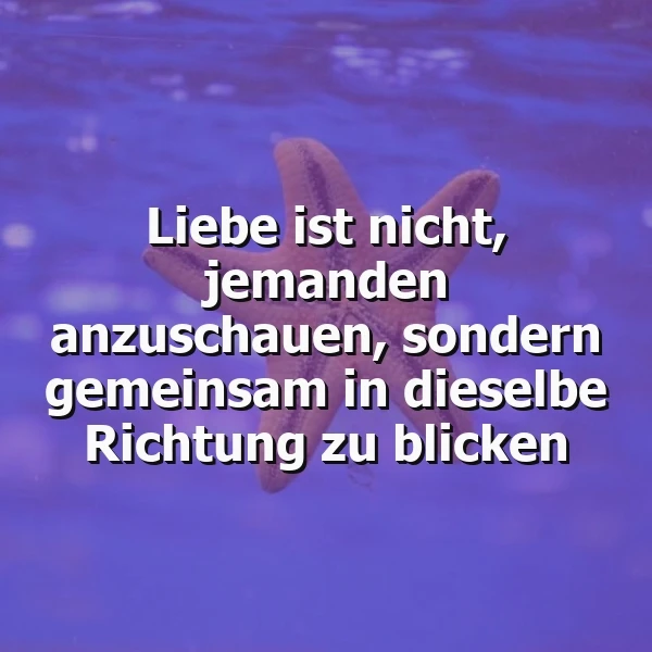 Wahre Liebe: Gemeinsam in dieselbe Richtung blicken – Eine Herzensweisheit