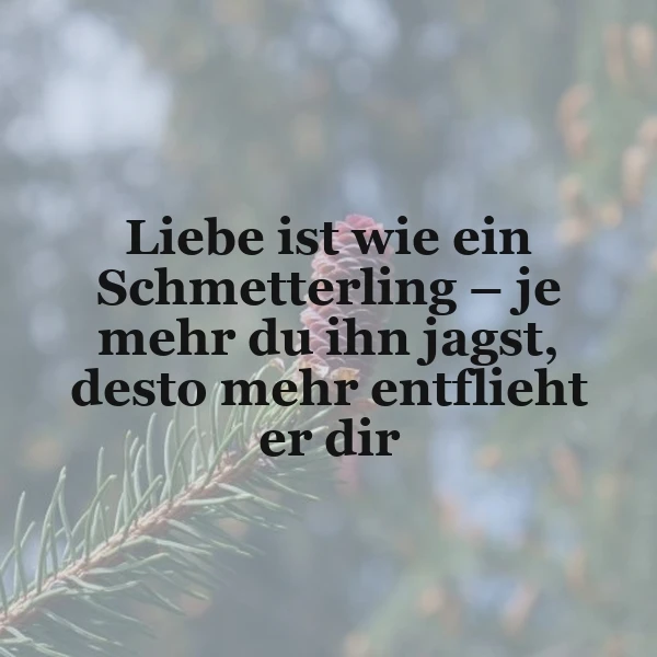 Warum Liebe nicht gejagt werden darf – diese Weisheit erklärt es dir!