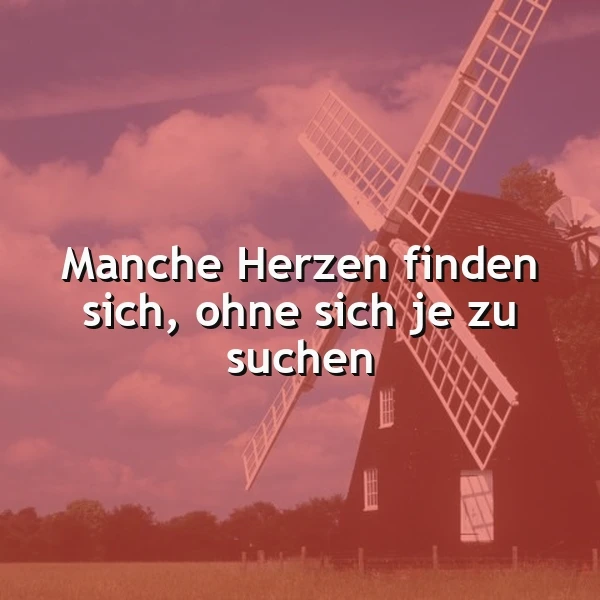 Manche Herzen finden sich ohne Suche – Spruchbilder über wahre Verbindungen