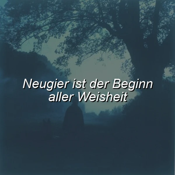 Dunkles, mystisches Bild mit einem einzelnen Menschen als Silhouette. Im Nebelwald erscheint der inspirierende Spruch: "Neugier ist der Beginn aller Weisheit". Eine nachdenkliche, ruhige Atmosphäre.