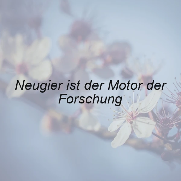 Neugier als Antrieb: Der Motor der Forschung