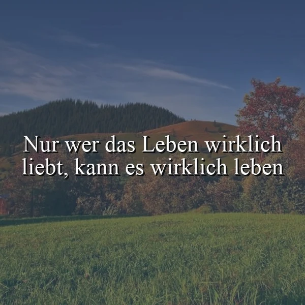 Das Leben lieben: Die wahre Kunst, jeden Moment zu leben