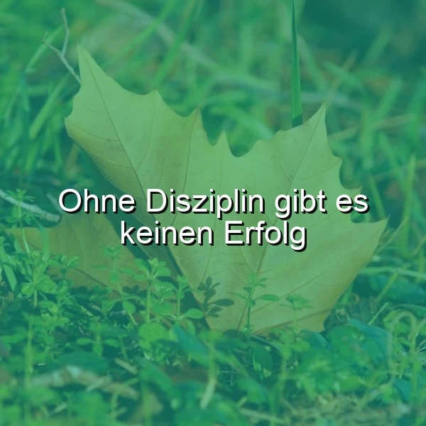 Disziplin: Dein Geheimnis zum Erfolg – warum der innere Schweinehund Pause hat!
