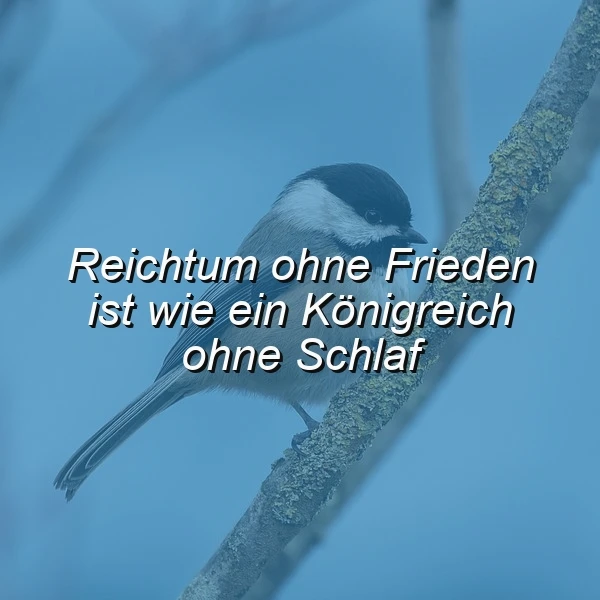 Reichtum ohne Frieden: Wahre Weisheit für inneren Halt