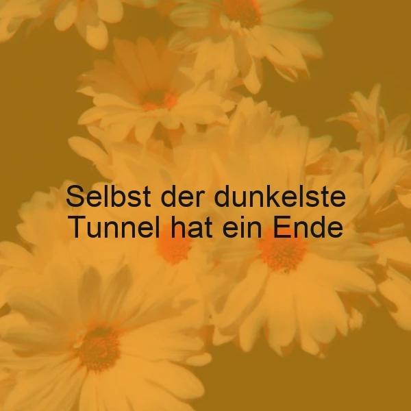 Hoffnungsschimmer: Selbst der dunkelste Tunnel hat ein Ende