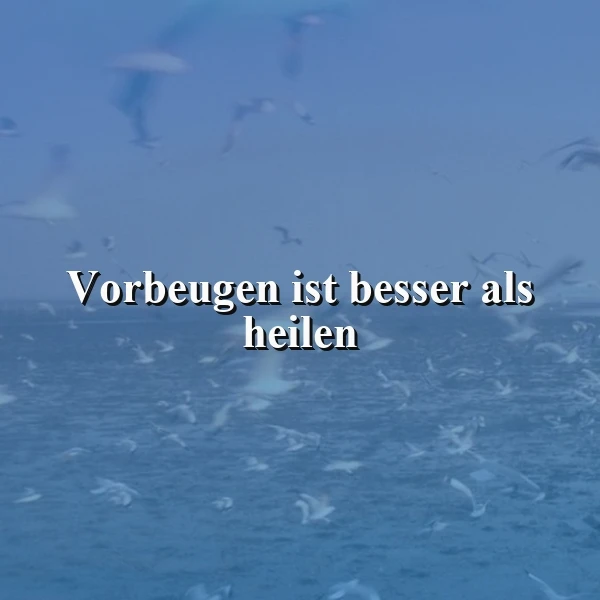 Vorsicht ist die Mutter der Porzellankiste: Vorbeugen mit einem Schmunzeln!