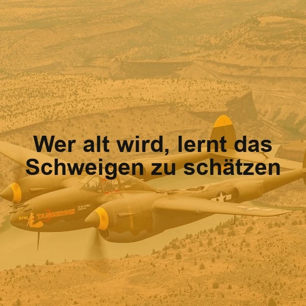 Die Weisheit des Schweigens - Wer alt wird, lernt zu schätzen