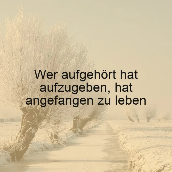 Lebensweisheit: Wer nicht aufgibt, beginnt zu leben
